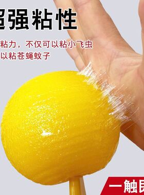 诱蝇球柑橘实蝇果蝇诱捕针蜂防虫果园粘虫果实瓜果果树诱虫球