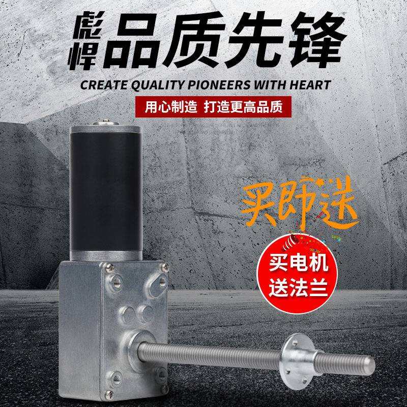 5840-31ZY 蜗轮蜗杆减速电机 螺杆电机 M8螺杆轴 12v24V自锁电机