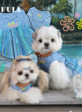 FULIPET芭提雅假日系列西施犬马尔济斯比熊雪纳瑞