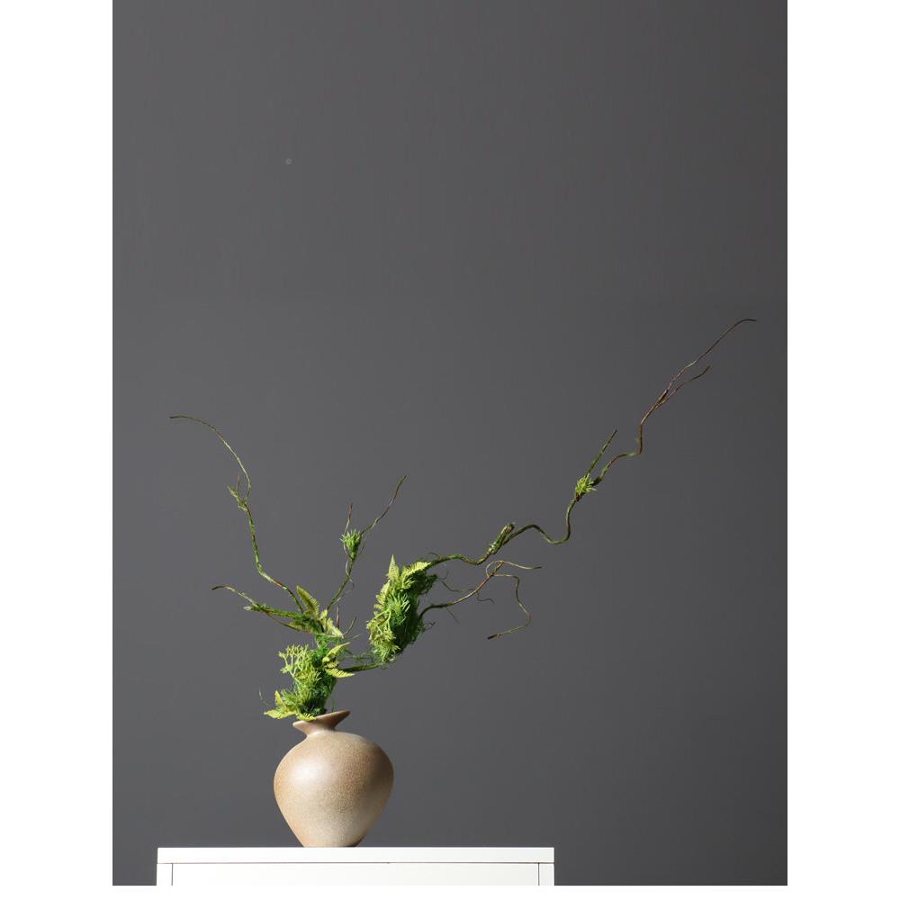 彷真树枯藤枯枝藤苔藓植物装饰艺家室内花背景橱窗壁挂DRE绿植藤