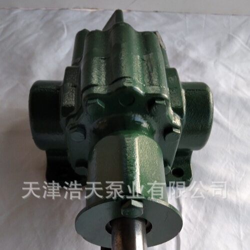齿轮泵AM 柴油 机油 润滑油 沥青 胶水 聚氨酯 稠油 粘油齿轮泵