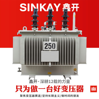 S13-250KVA油浸变压器315kw高低压11/0.415kv铜400千伏安500出口