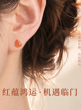 女款正品天然南红葫芦小耳钉纯银精致小众设计感秋冬国风红色耳饰