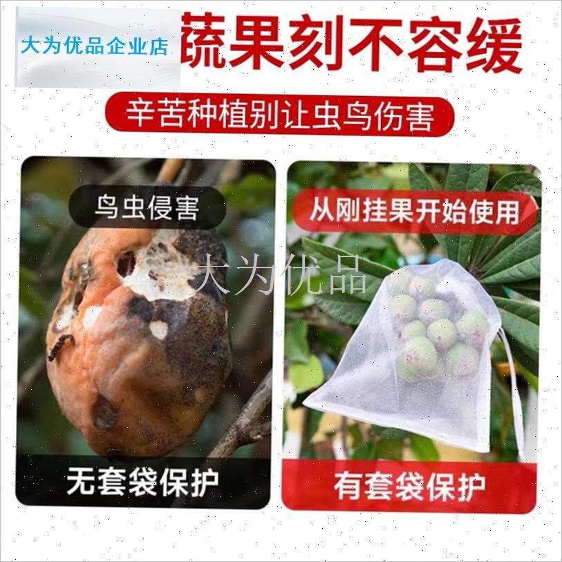 果套袋防虫防鸟网袋罩葡萄桃子枇杷草莓蓝莓P专用套袋保护套苦瓜.