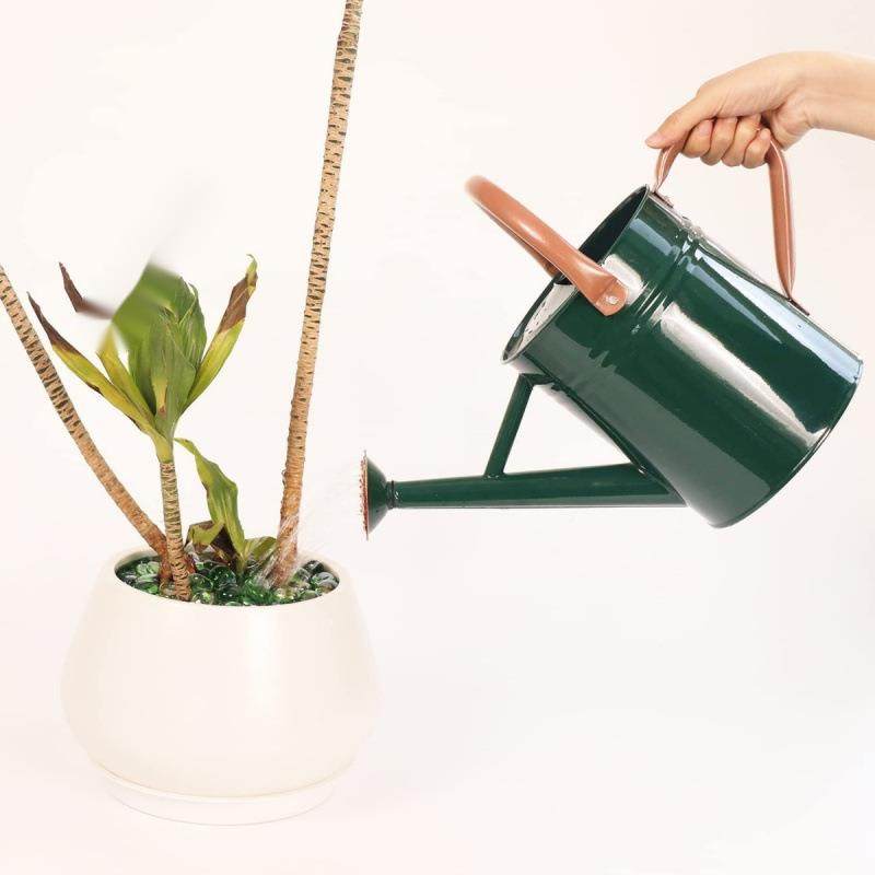 欧美高WEC品家质两洒水壶浇花壶洒用浇菜水壶用,家居饰品,餐桌花艺,淘宝优惠券,粉丝福利购,淘宝优惠卷