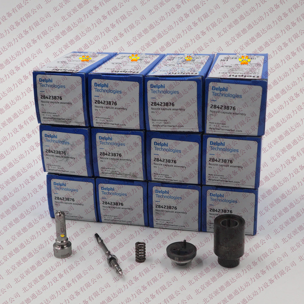 德尔福 28423876 L499PBK油嘴套件使用BEBJ1F08001 / BEBE1R14001