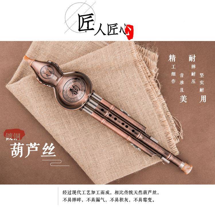 芦丝调降b调镀铜三音树葫胶木初RUN学入门成人拆卸吹奏脂c乐器葫