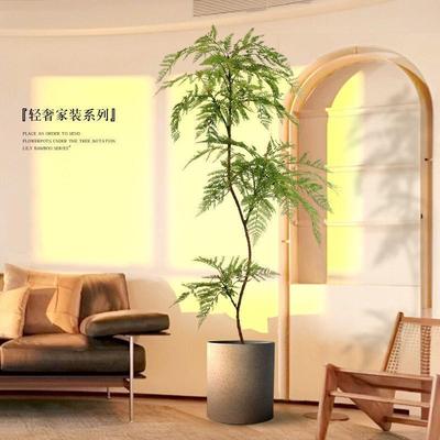 仿真绿植蓝仿花楹落地盆栽室内大型LHY—001生植物件客厅摆装轻奢