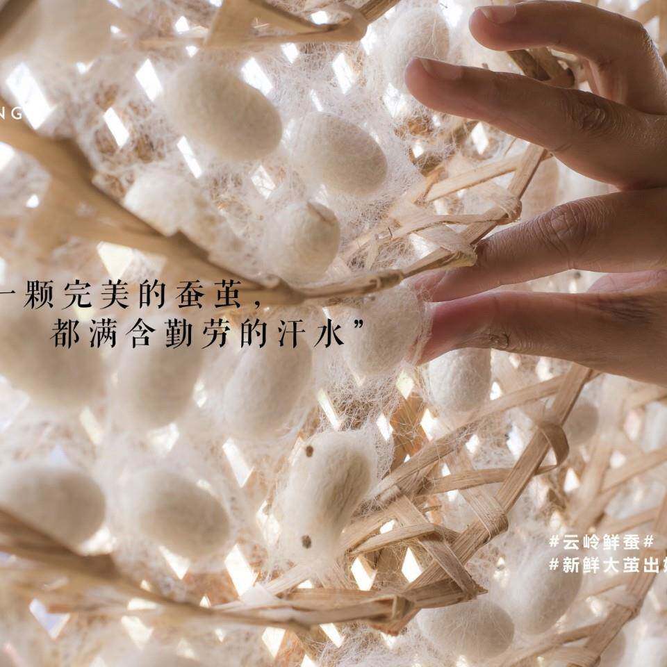 Kid园s'高枕端純棉层纱布活被【高端婴套儿童蚕丝被幼儿床双上小