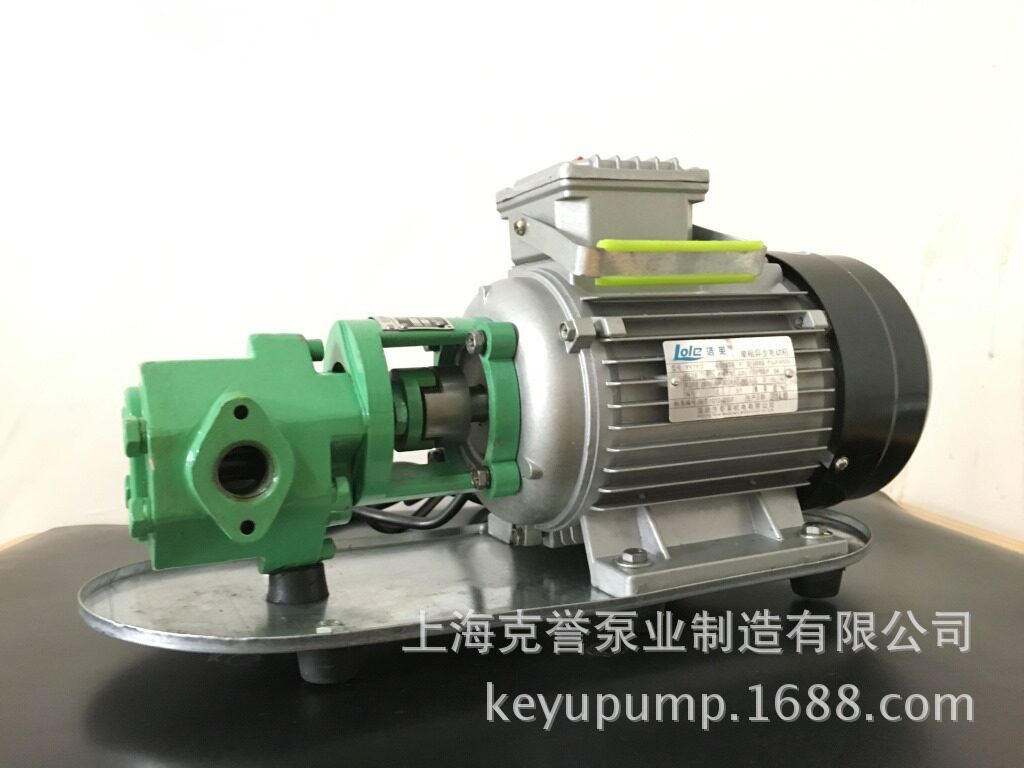 手提式小型齿轮油泵WCB-75微型输油泵自吸便携式油料运输泵便宜