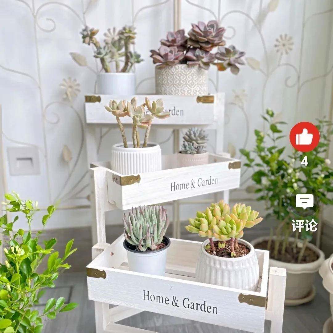 叠缩花架多伸肉植收物纳架F985T99M折置物架实木植物架复古架阳台