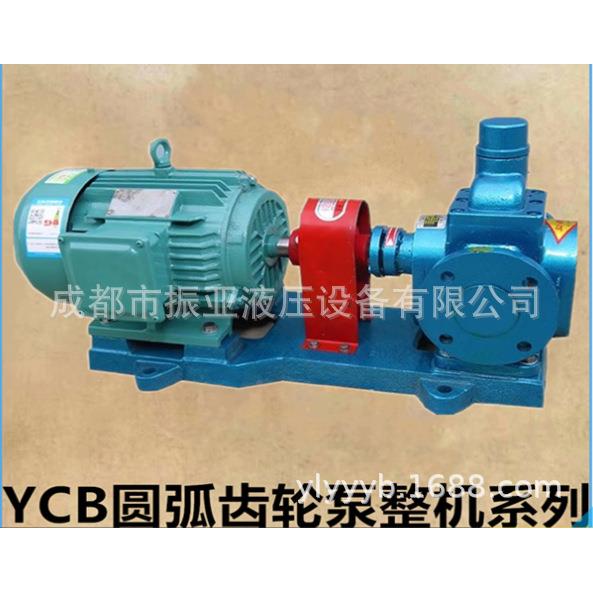 圆弧齿油泵YC轮B.3.3/整DLJ06柴油泵增压泵自吸泵齿轮油泵机