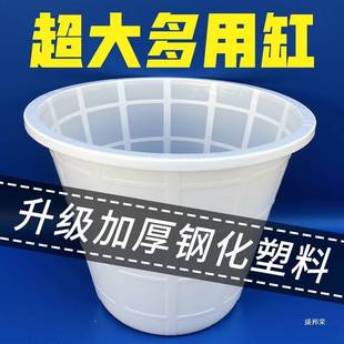 水桶料家用塑号桶桶大带盖储加厚超大特927大装 胶桶特厚其他无