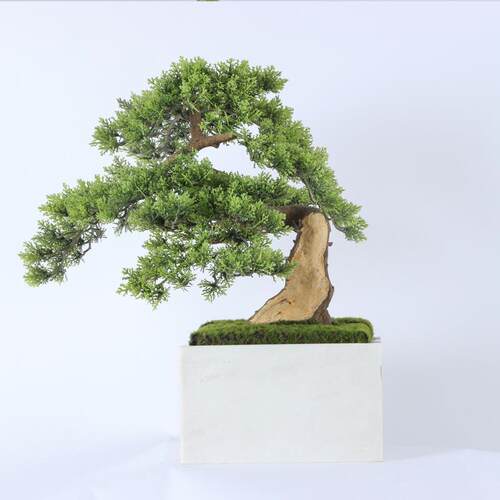 新中式展仿真迎客松盆栽摆件厅酒盆店饰居家玄关绿YC-024色植物景