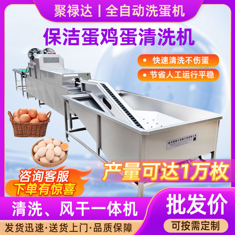 全自动大型单排洗蛋机保洁蛋脏鸡蛋清洗机鲜鸡蛋清洁设备生产线