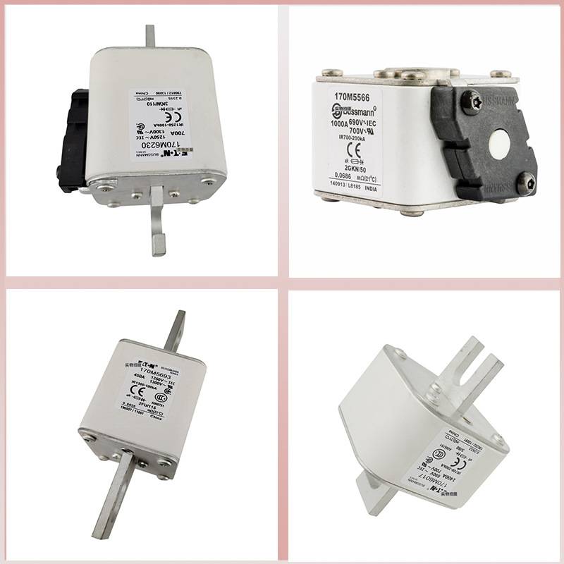 巴斯曼FRN-R-200 FRN-R-225 FRN-R-250新 保险丝 直销诚信经营