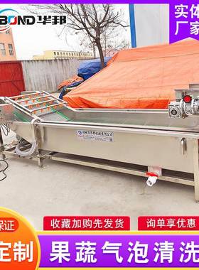 不锈果钢蔬LQE洗线气泡清洗机 全自动连清续式净菜设备 厂家供应