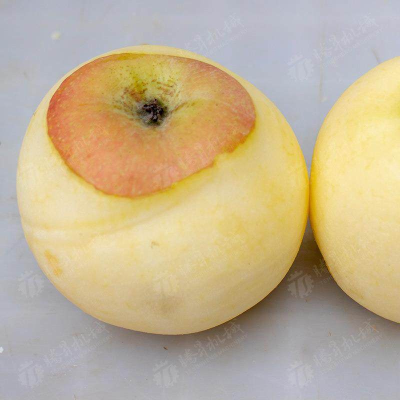 柿腾子削机皮机 大型水果削皮 规格31多样 现货库存 昇食品械,五金/工具,其他机械五金,淘宝优惠券,粉丝福利购,淘宝优惠卷