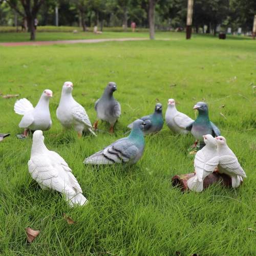 户外园林仿真鸽子雕塑鸟类摆件动物树脂工艺品花园别墅落地装饰品