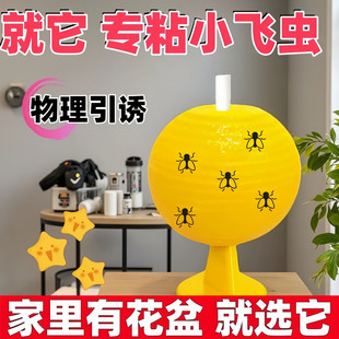 物理引诱粘蝇纸家用灭蚊蝇神器黄色粘虫板物理捕虫器环保捕虫神器