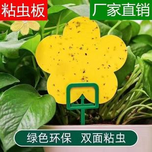 小黄板花型粘虫板小黑飞粘虫板双面防水诱粘剂诱蝇球果蝇果园大棚