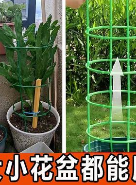 2025新款蟹爪兰支架多层双层园艺花架子兰花绿萝支撑架植物花支架