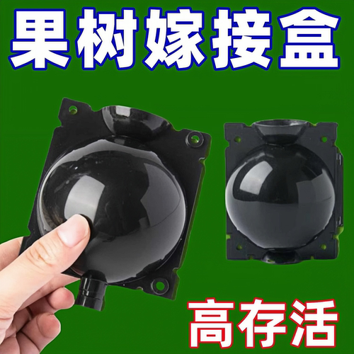 植物高压嫁接繁殖盒育苗