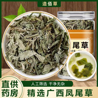 鳳尾草中藥材雞腳草鳳尾蕨中草藥曬干鳳凰草金雞尾井邊鳳尾五指草
