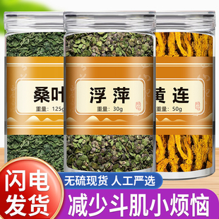 桑叶浮萍黄连组合茶中药材霜桑叶紫背浮萍黄莲片干菊花泡茶泡水喝