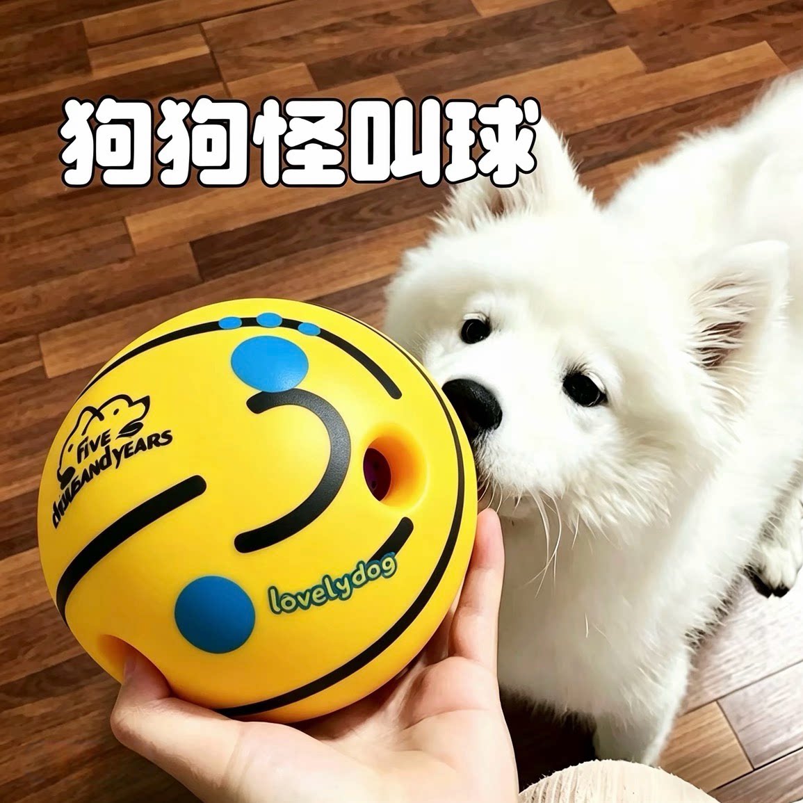 狗狗专用耐咬怪叫球玩具|发声