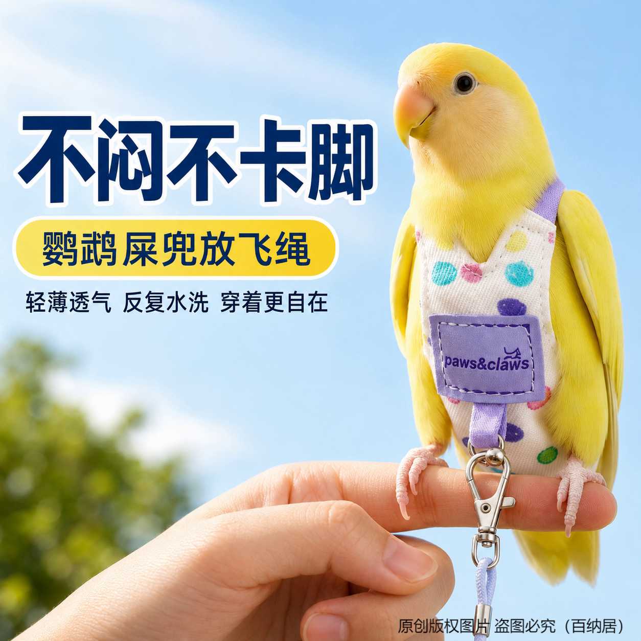 鹦鹉屎兜放飞绳轻薄透气按扣脚环