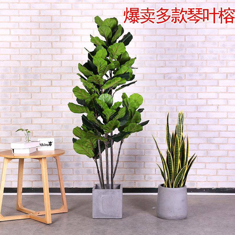 亚孙热10831卖仿真琴叶榕盆栽大型植假树室马客厅装内饰橱绿窗陈