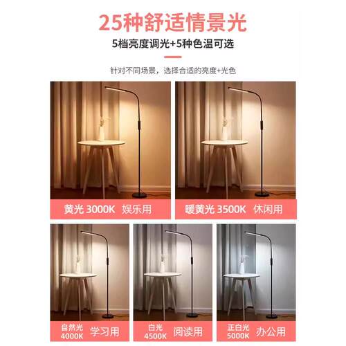 ?LE落地灯客厅沙5发旁卧室床头立式书台灯学习护眼阅读看300D202