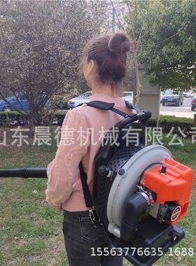 大功率汽油式吹风棚机小型大吹火雪YVZ背负森林灭机