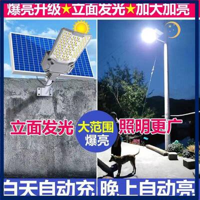OPG太阳能户外灯家用庭院灯2亮02款5新超LED大功率村农院子照明路