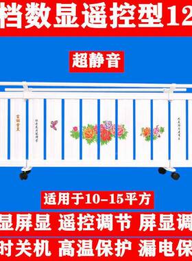 德国2026款厂家加水电暖气电片爆家用取省暖器加水暖器节QKB能电