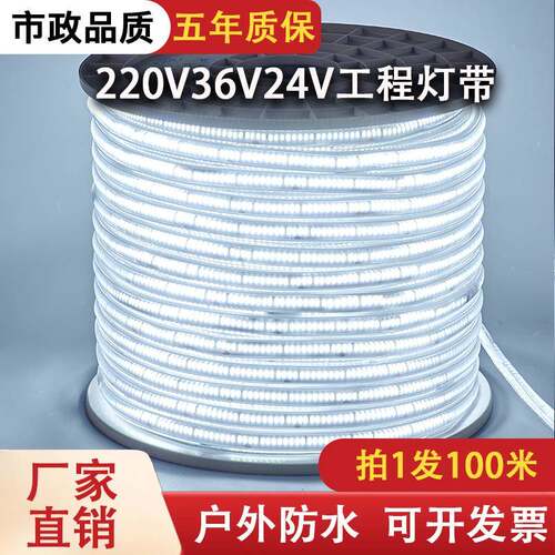 lLED户外d灯带22V户外工程照明户0外防水养殖塔e吊工地下地室24V3