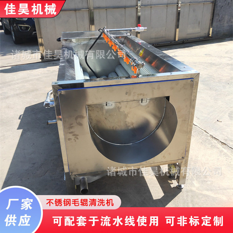 小型全自动毛辊根茎类去皮清洗机