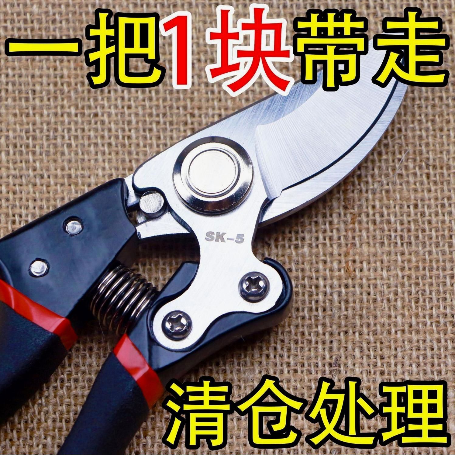 德国进口钢粗枝剪省力修枝剪刀园艺修花木果树嫁接园林剪农用工具