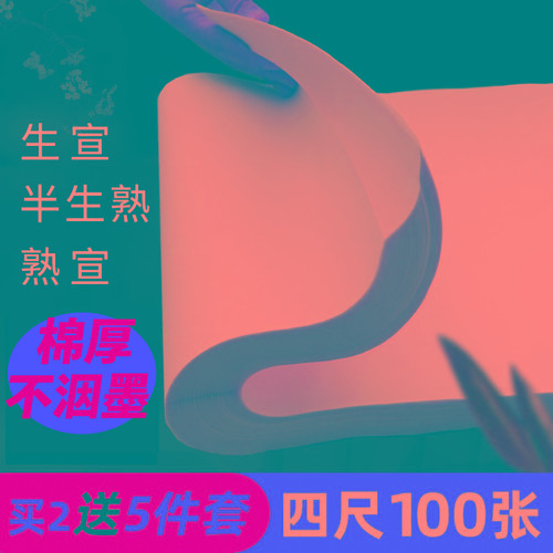 大山皮纸半生半熟宣纸批发100张书法专用纸练字作纸四尺生宣纸