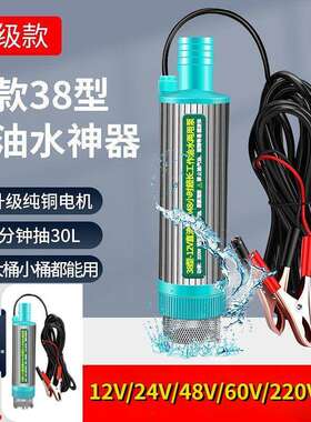 电动抽油泵便携式12v24v48v60v车载柴油自吸式220v小型大流量抽水