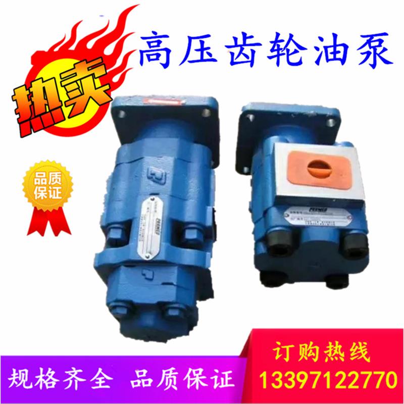 P124B085ER2A12-54G02A12-1泊姆克齿轮泵