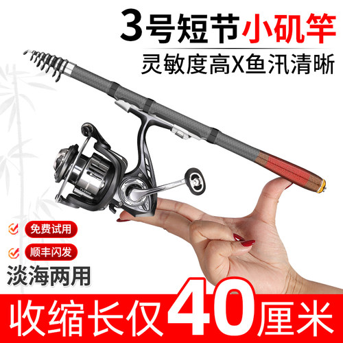 官方正品达瓦3号短节小矶竿全套