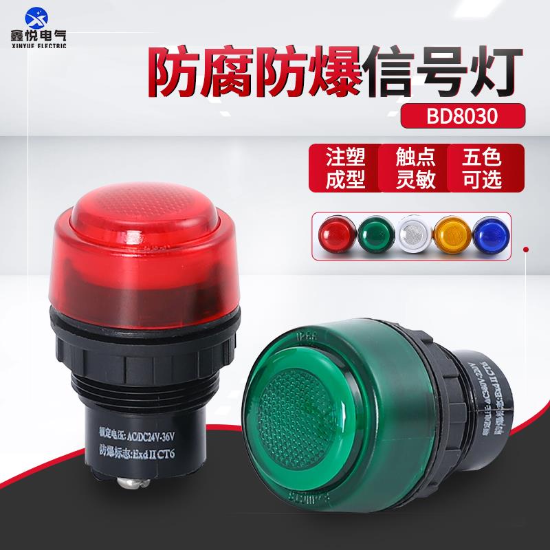 BD8030防爆防腐电源指示灯信号灯开孔30MM IP65防爆箱指示灯220V