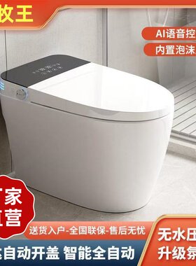 全智能马桶内置泡沫盾全自动杀菌一体即热带水箱虹吸式马桶坐便器