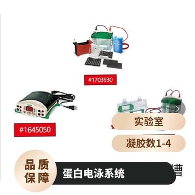 伯乐Bio-Rad电泳仪(1658001+1703935+1645050）