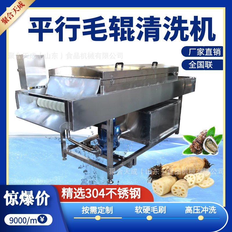 商用油桃毛刷洗果打蜡机全自动高压清洗生蚝设备胡萝卜生姜清洗机