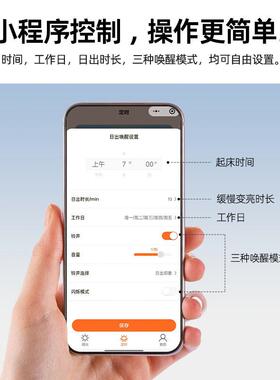 早鸟唤醒灯无声学生智能自律用光闹宿舍早起专醒XX840528神器钟学