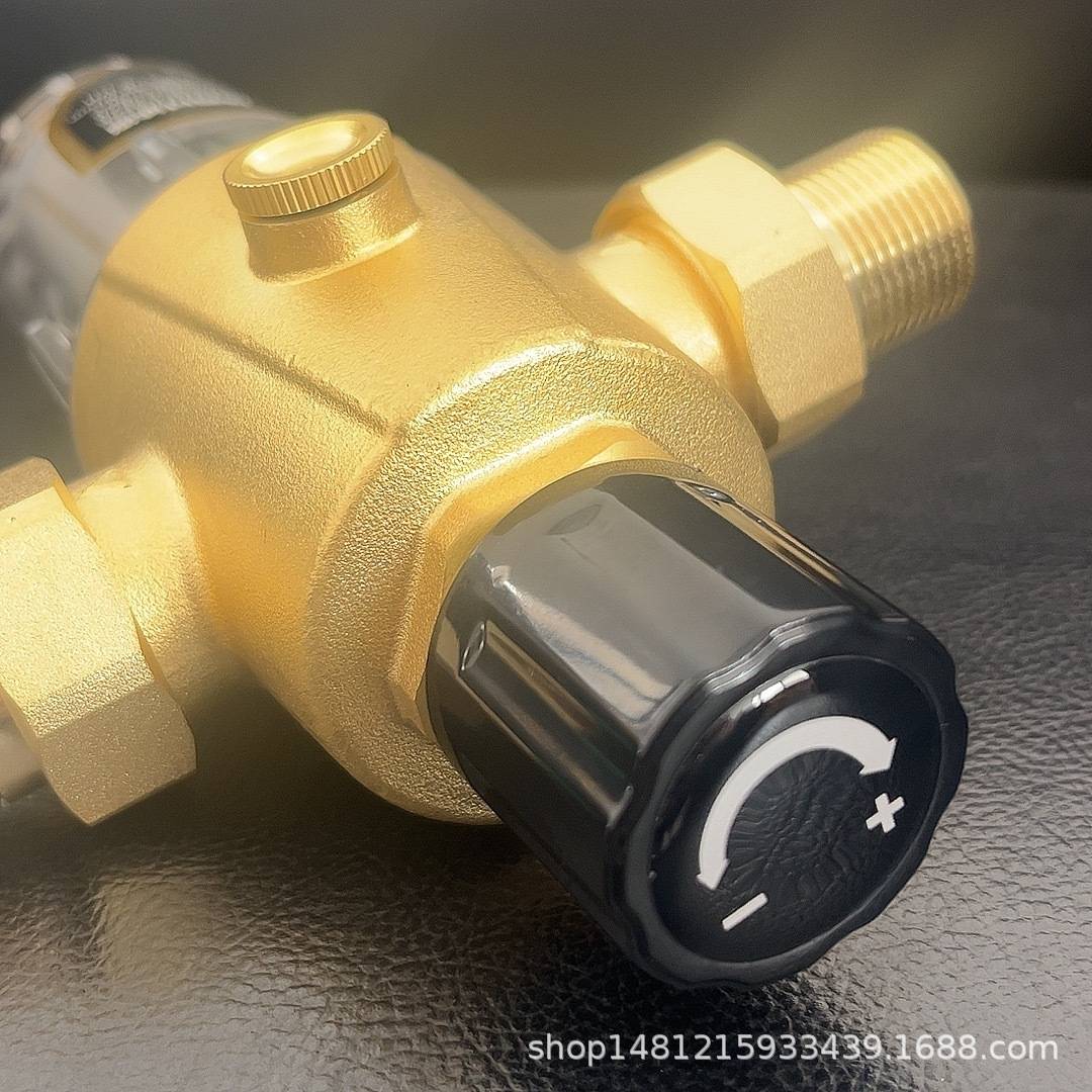 全铜前置过滤器全屋净水带稳压系统6T吨大通量铜接头PPR接头调流