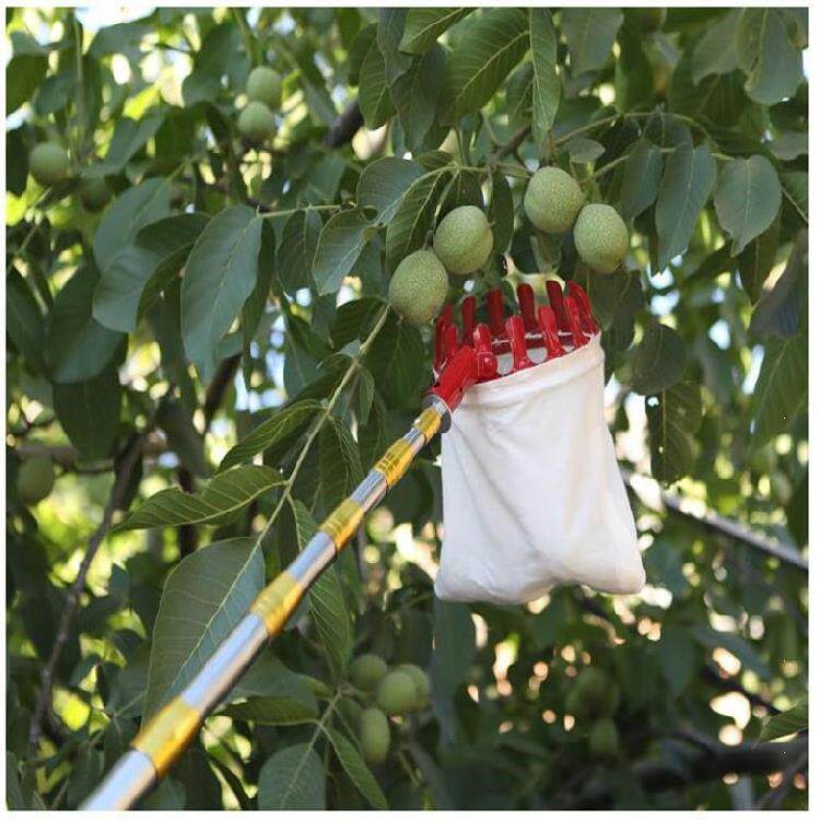 采摘神器摘果器杨桃工具木瓜摘水果摘果机高空杏子果实胡柚高枝.